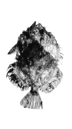 Work image